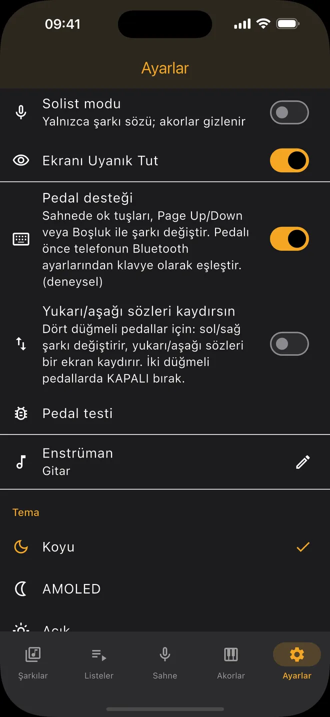 Ayarlar — pedal desteği ve tema